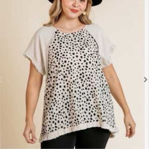 Umgee Cream and Black Spotted Blouse - Picture 1 of 5